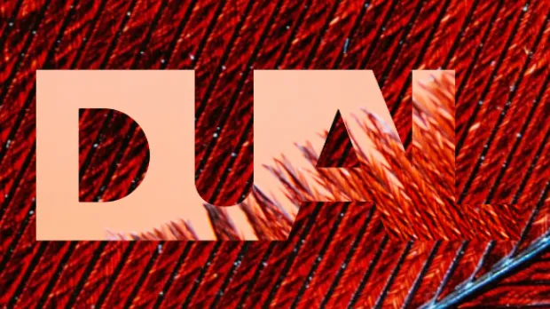 DUAL logo