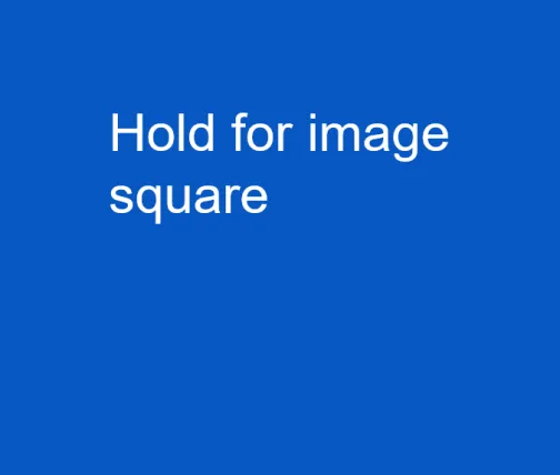 Hold for image square