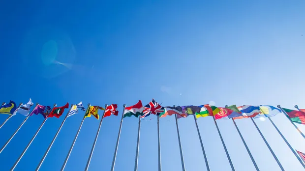 World flags