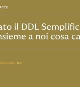 DDL semplificazioni_donazioni