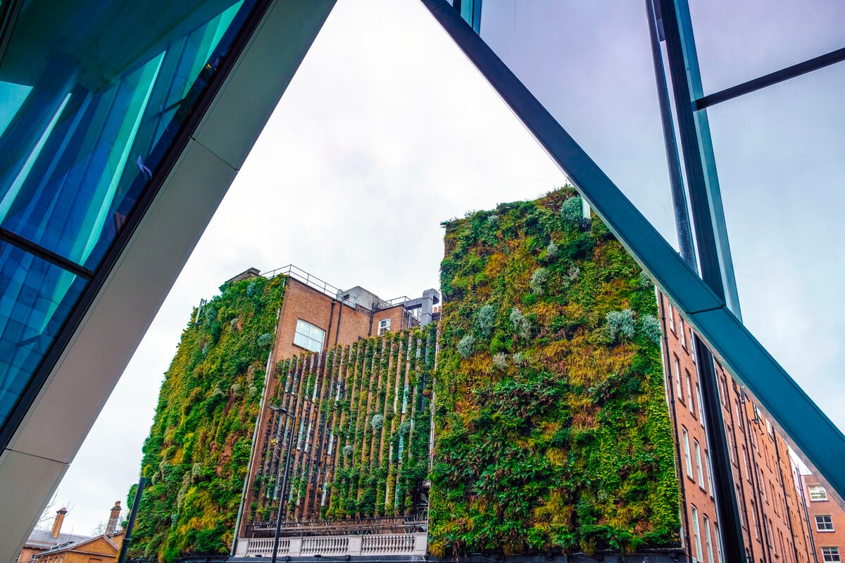 Environmental Insurance Protection