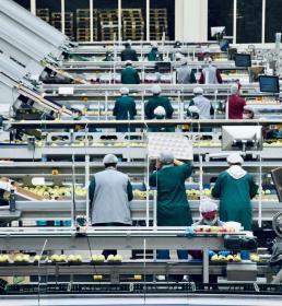 Product Contamination