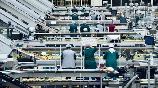 Product Contamination