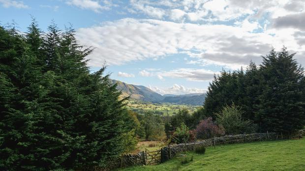Land owners liability