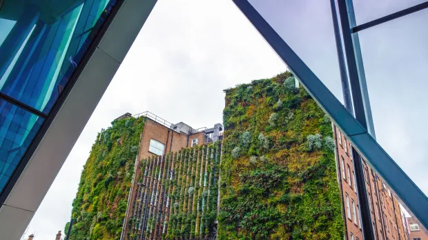 Environmental Insurance Protection