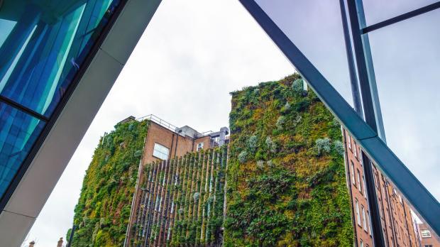 Environmental Insurance Protection