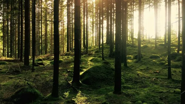 DUAL launches first insurance product to support biodiversity net gain and drive sustainable development 