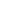 tick - white circle