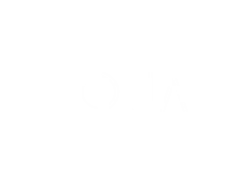 DUAL logo
