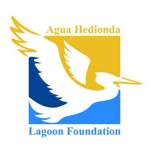 agua hedionda